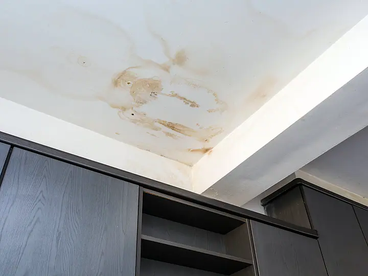 Water staining spreading across a residential ceiling from a roof leak